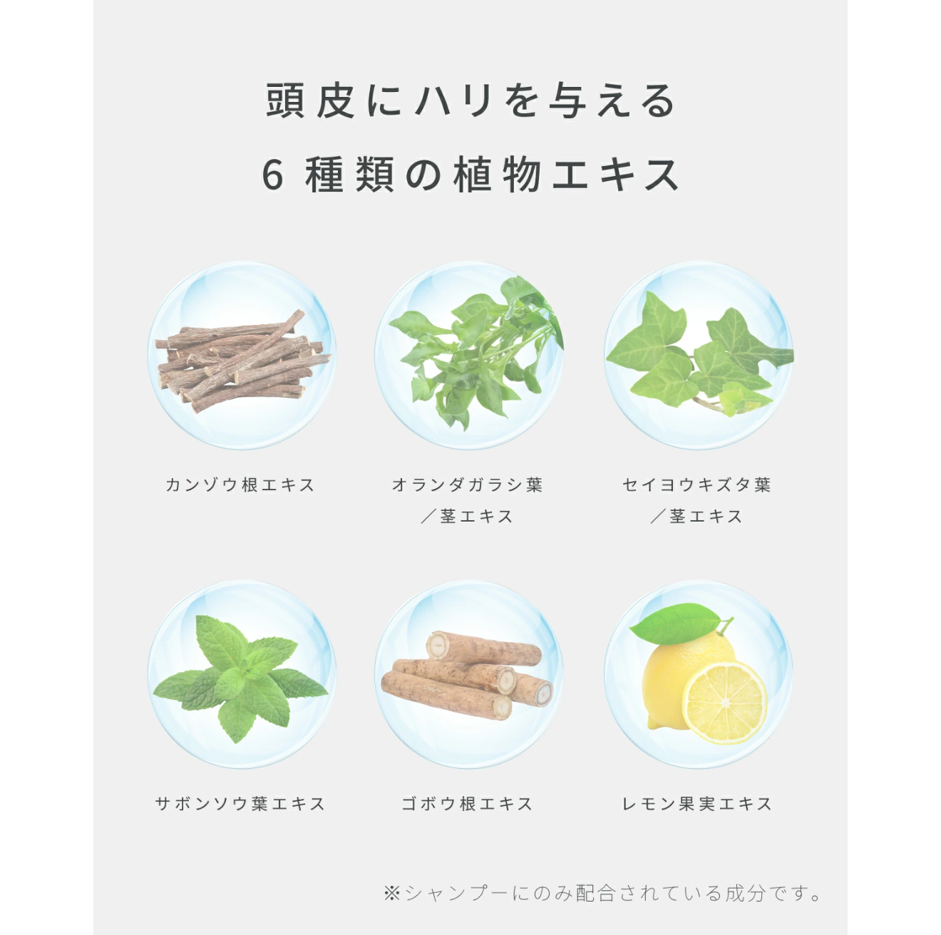 【正規品販売店】レカルカ Lekarka Vivorka モイスチャースムージング シャンプー・トリートメント 450mL