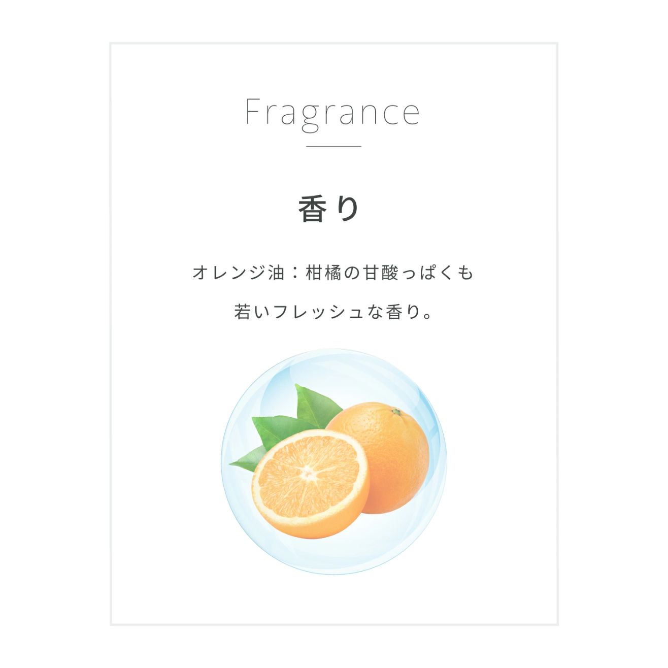 【正規品販売店】レカルカ Lekarka Vivorka モイスチャースムージング シャンプー・トリートメント 450mL