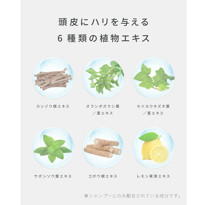 【正規品販売店】レカルカ Lekarka Vivorka モイスチャースムージング シャンプー・トリートメント 450mL