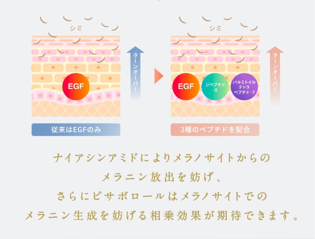 BRIGHTLY MOIST SHINE MIST (ブライトリーモイストシャインミスト)